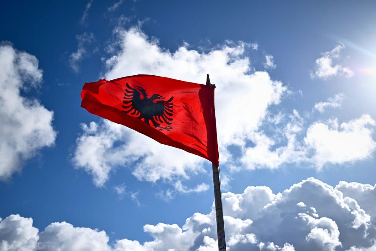 Arnavutluk Danışmanlık Hizmetlerimiz
