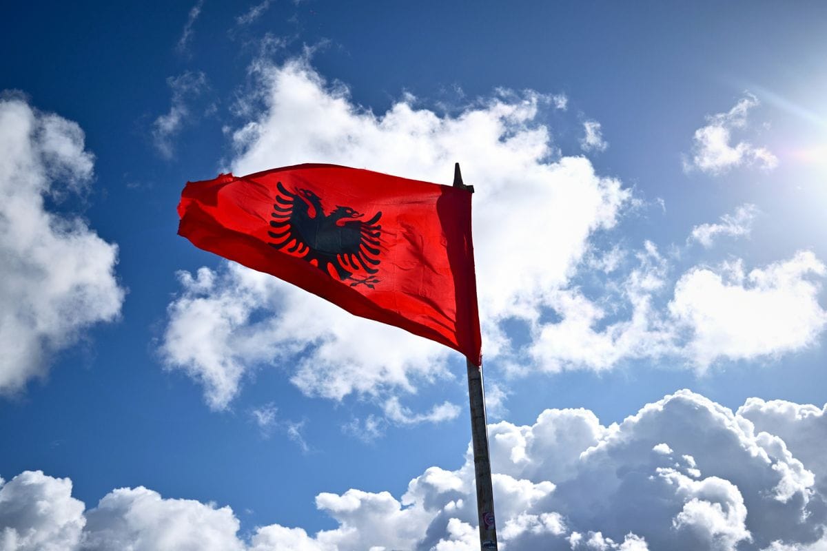 Arnavutluk Danışmanlık Hizmetlerimiz